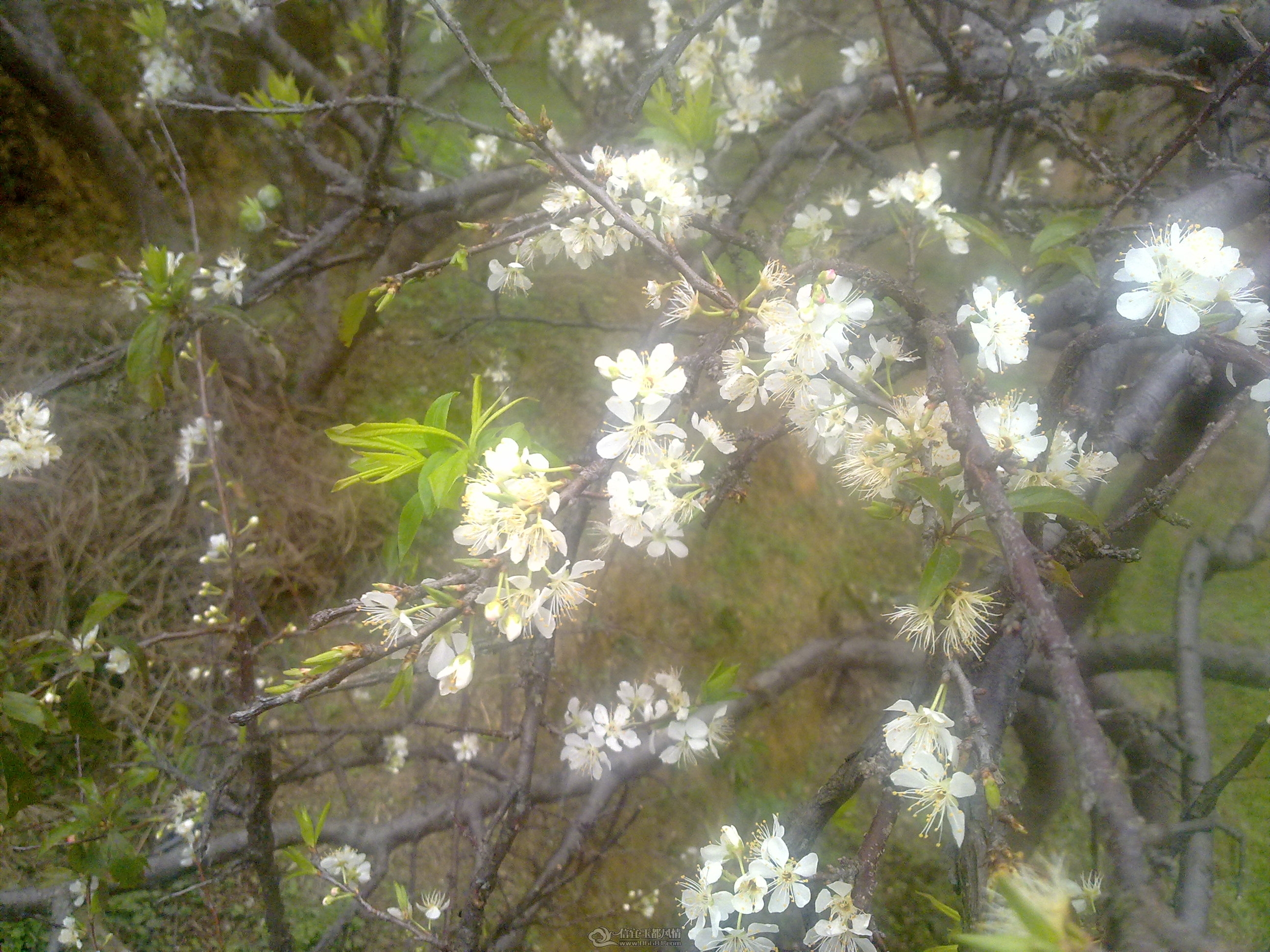 20120211042.jpg