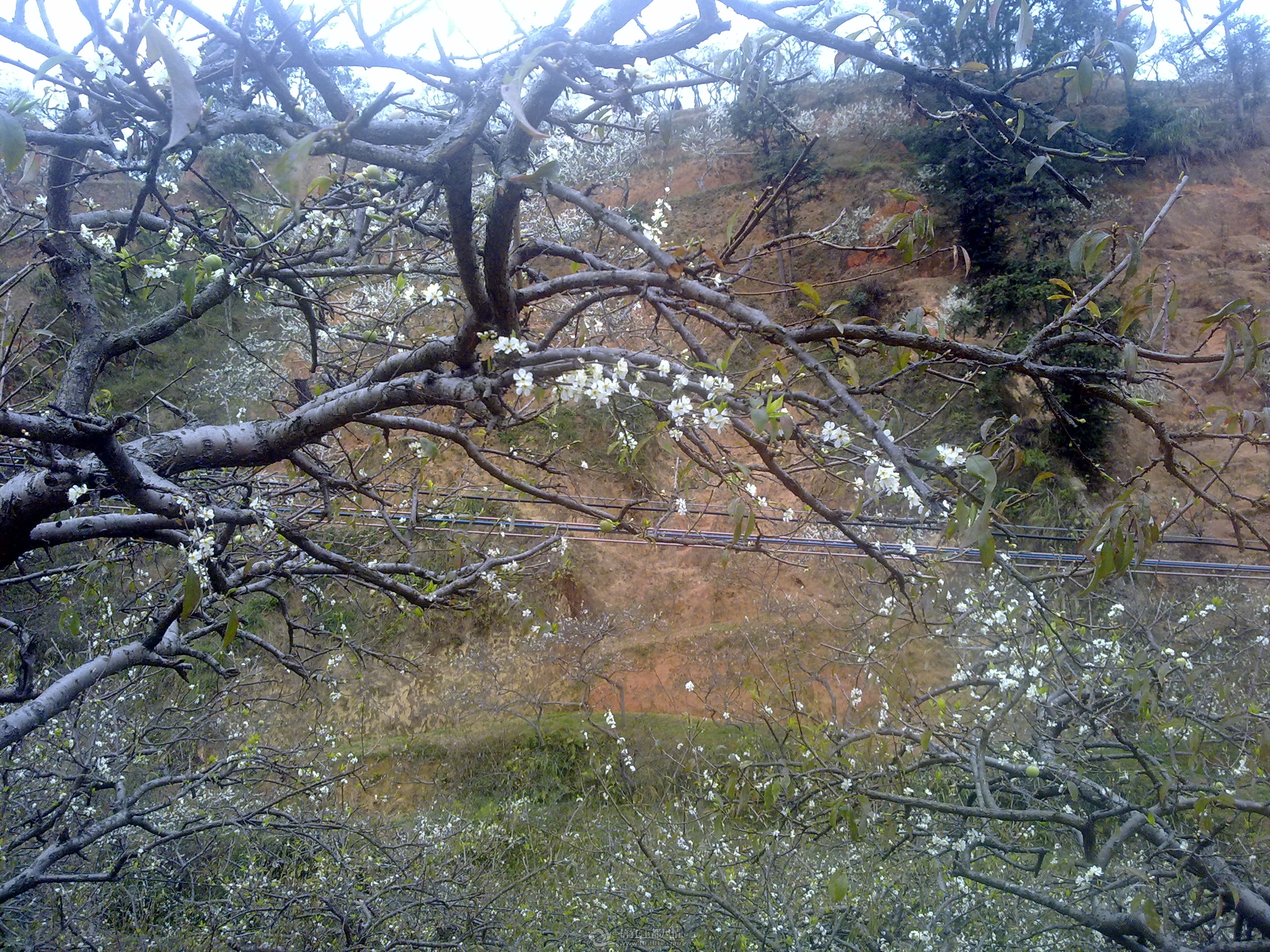 20120211043.jpg
