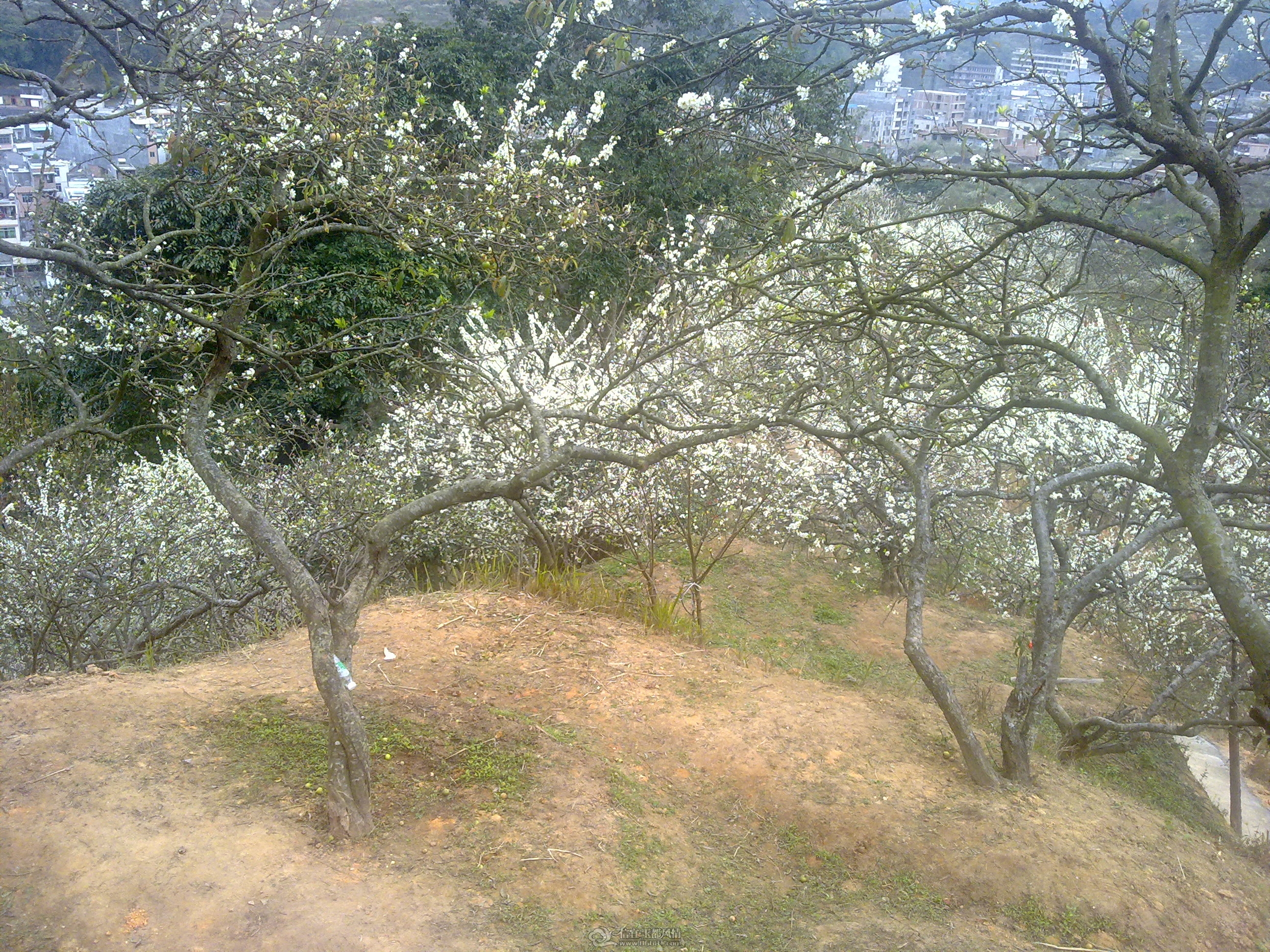 20120211044.jpg