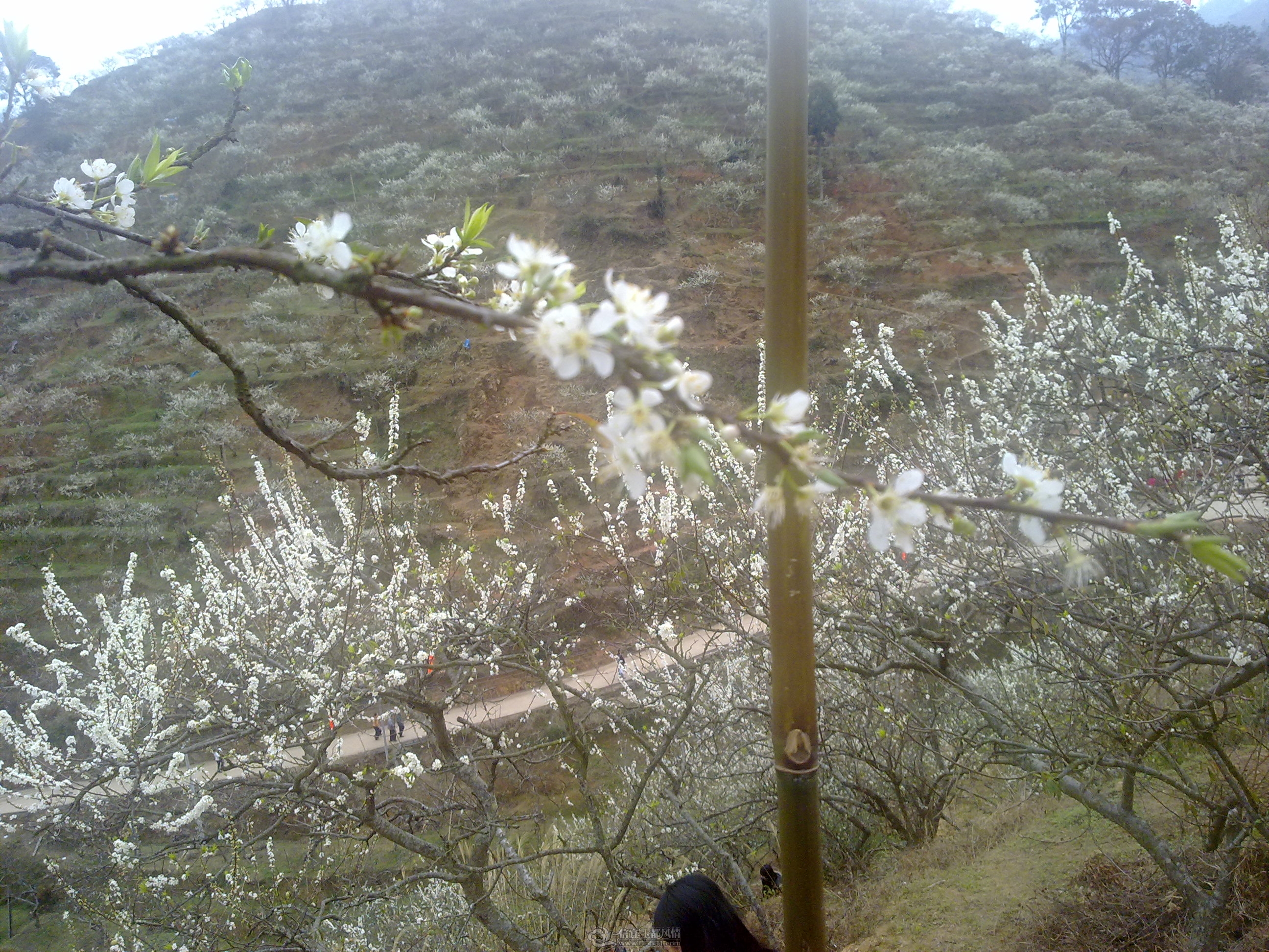 20120211045.jpg
