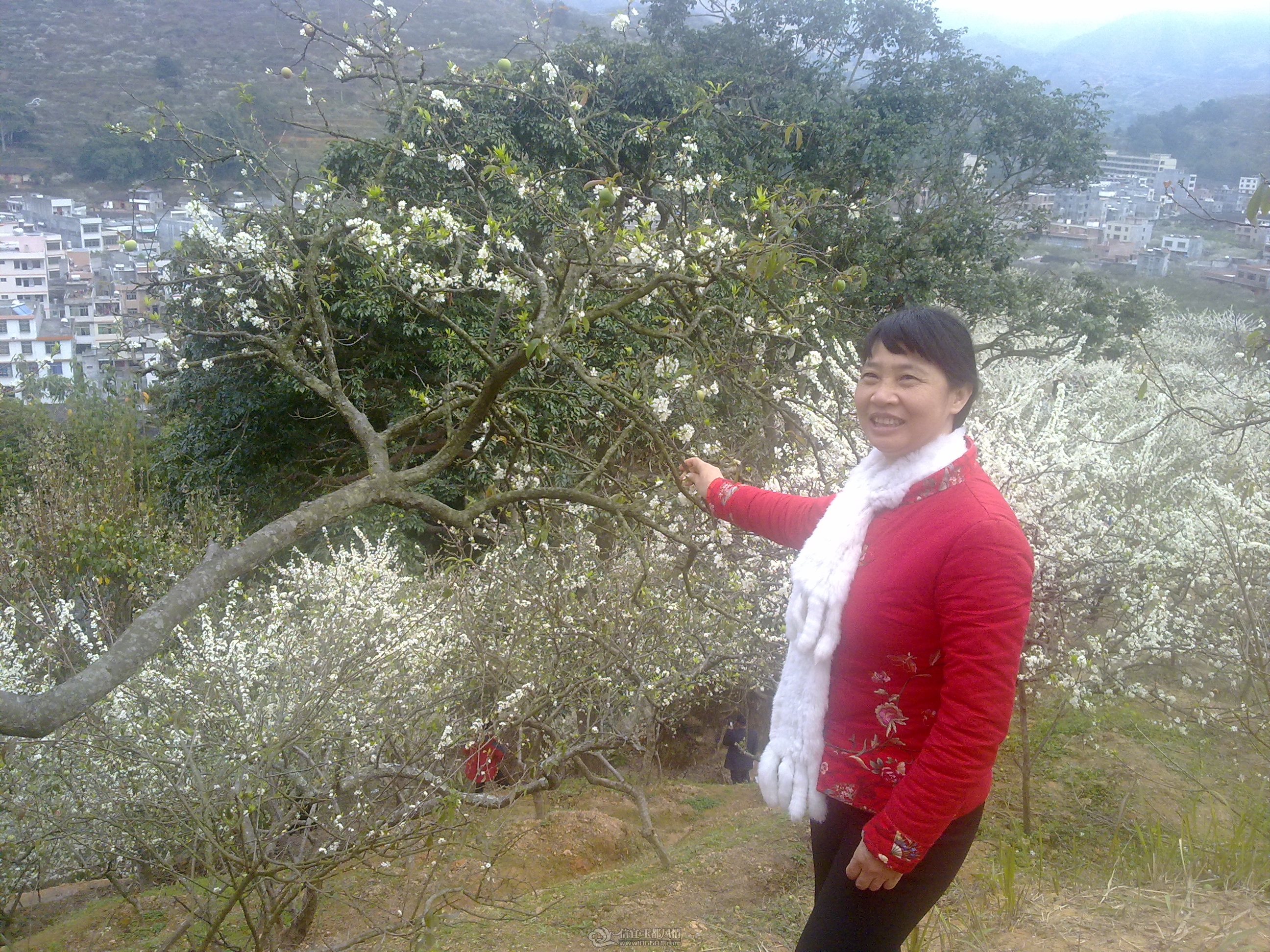 20120211046.jpg