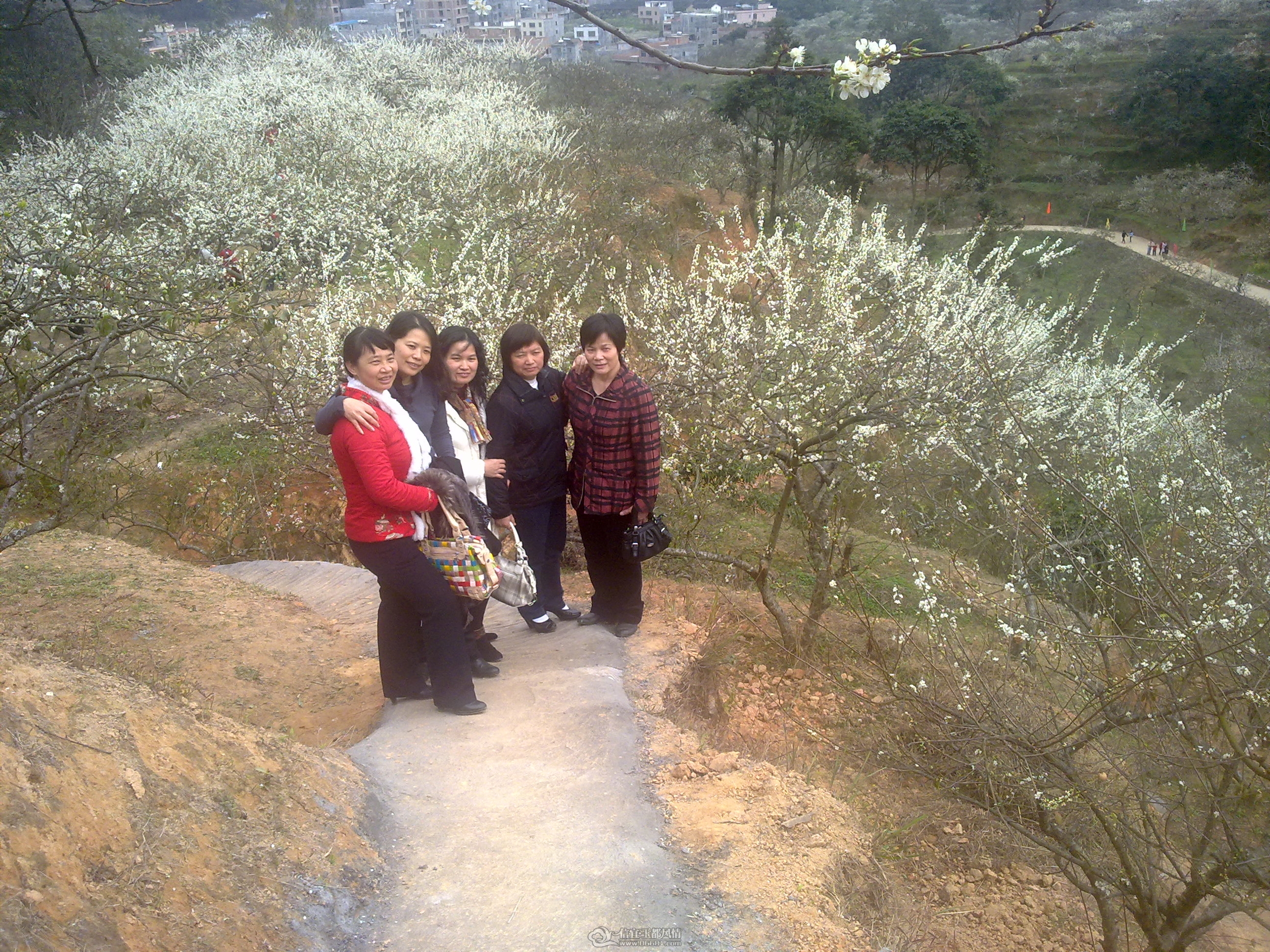 20120211047.jpg