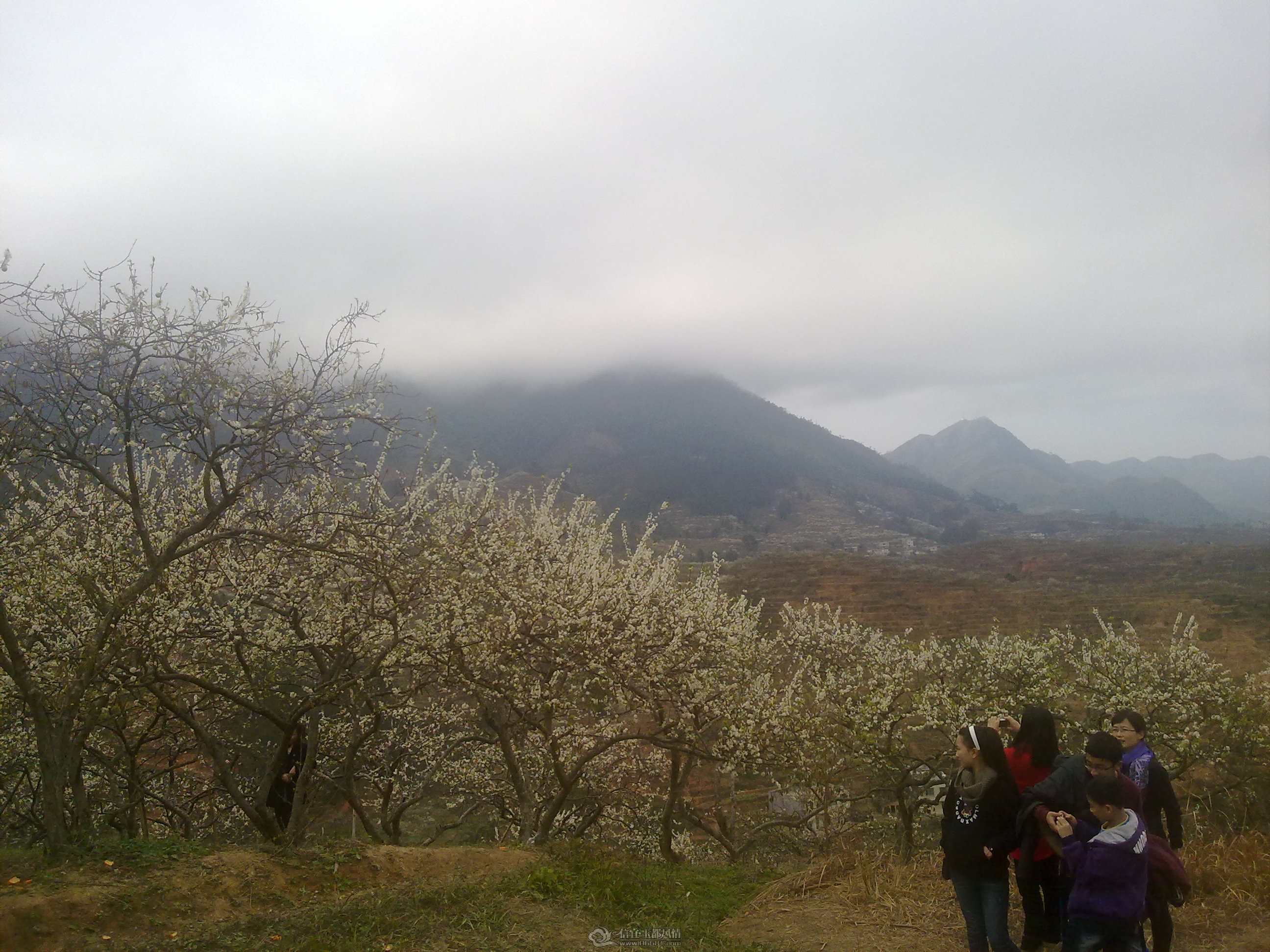 20120211048.jpg