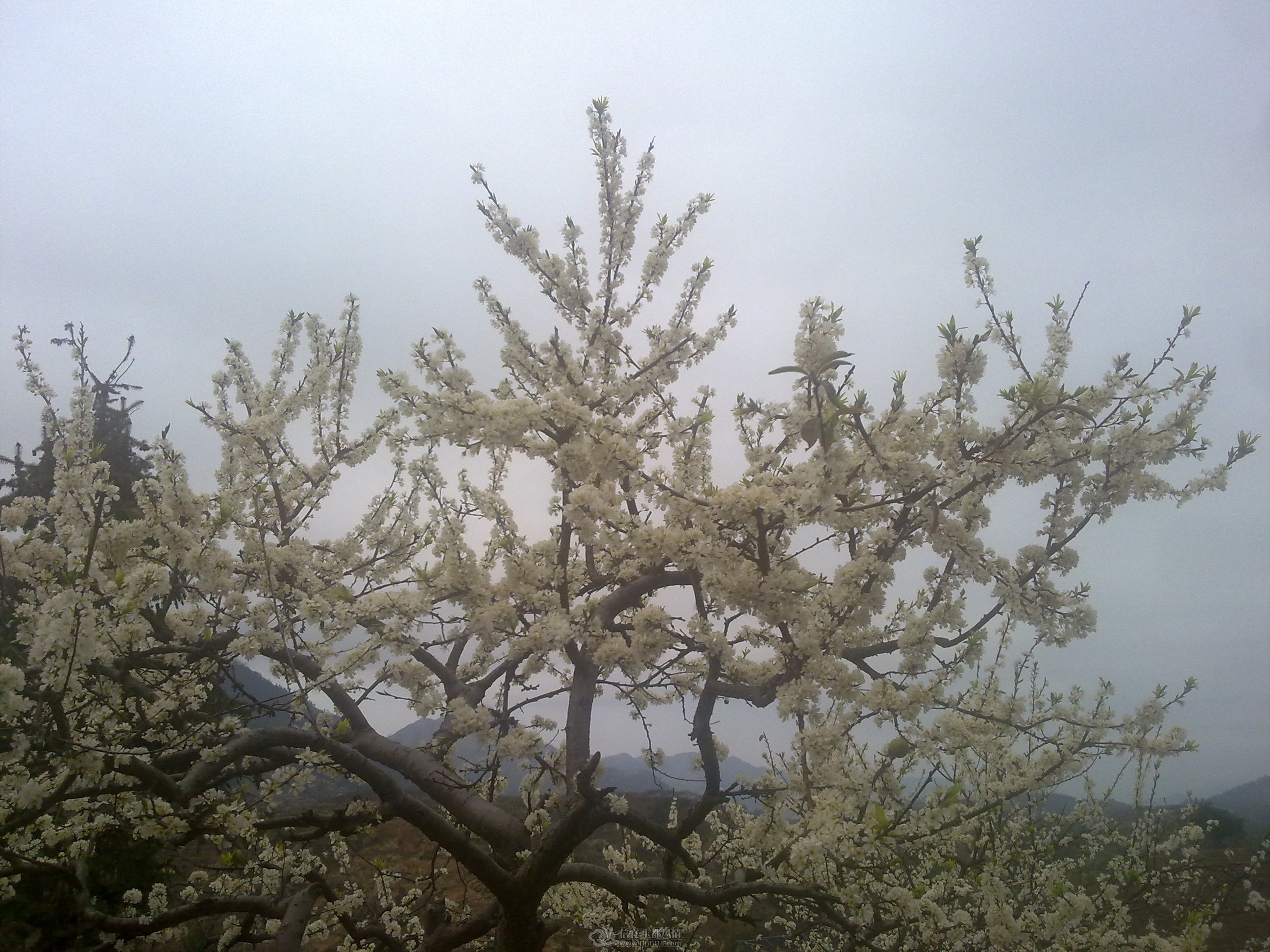 20120211049.jpg