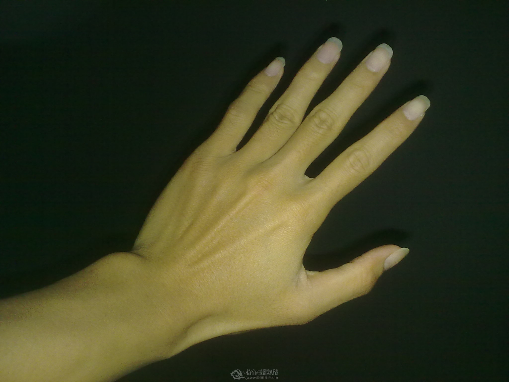 yuzhu (2).jpg