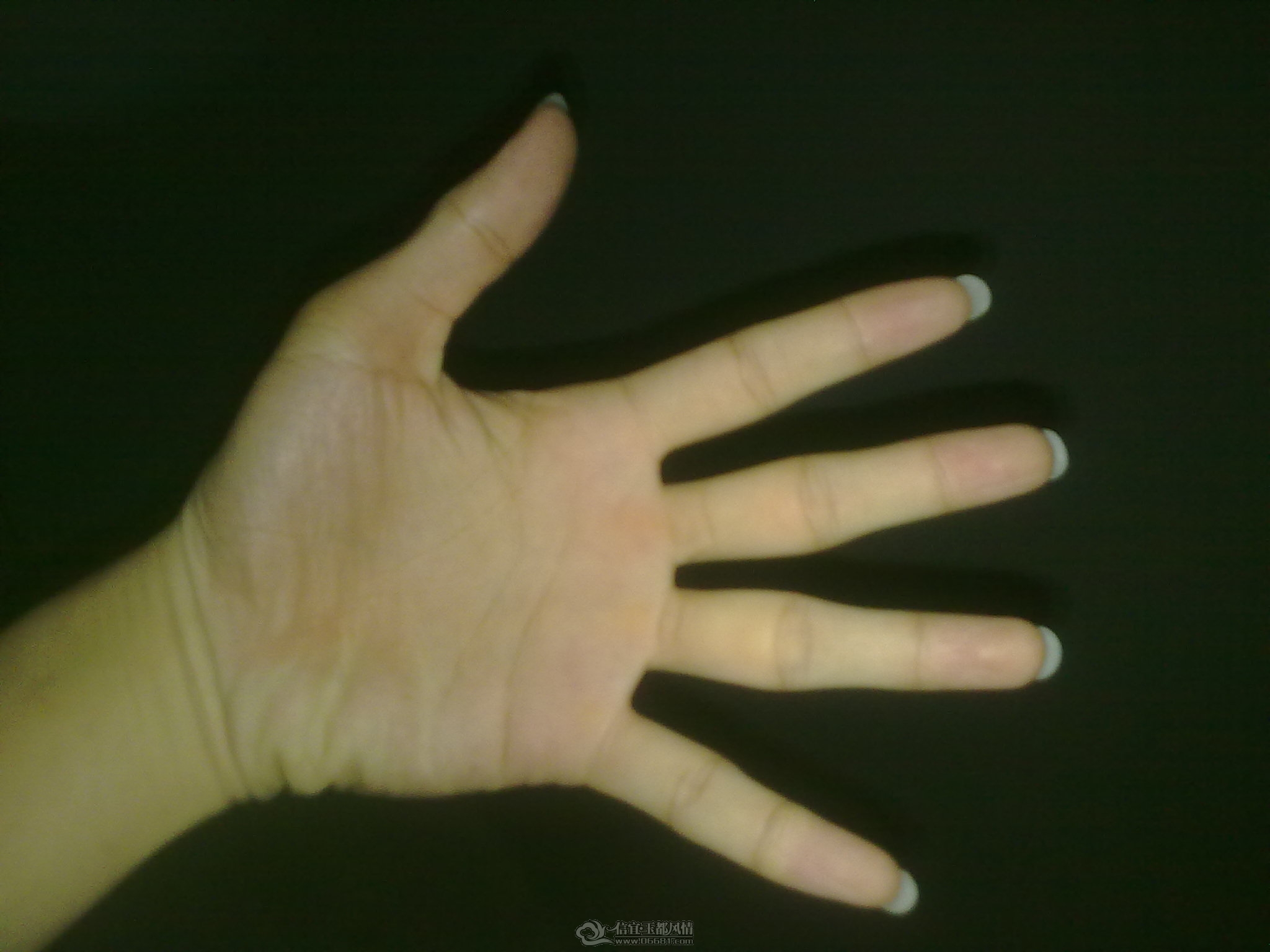 yuzhu (3).jpg