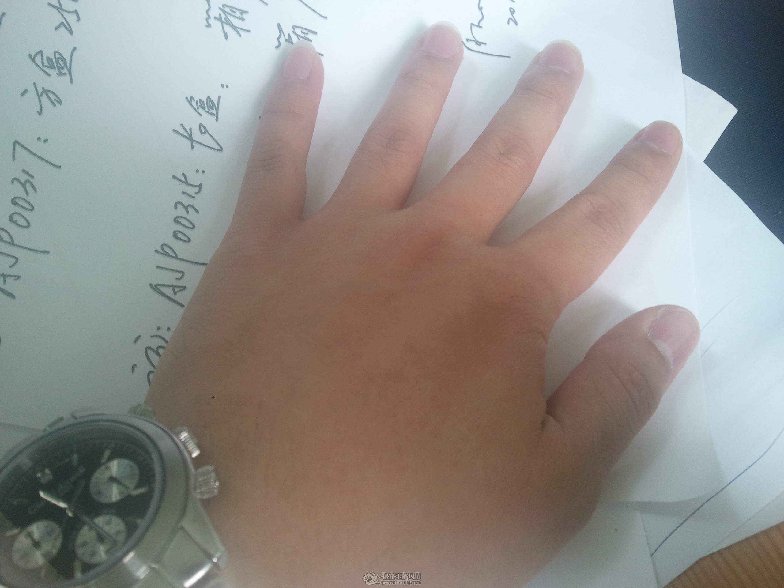 2012-03-23 11.32.58.jpg