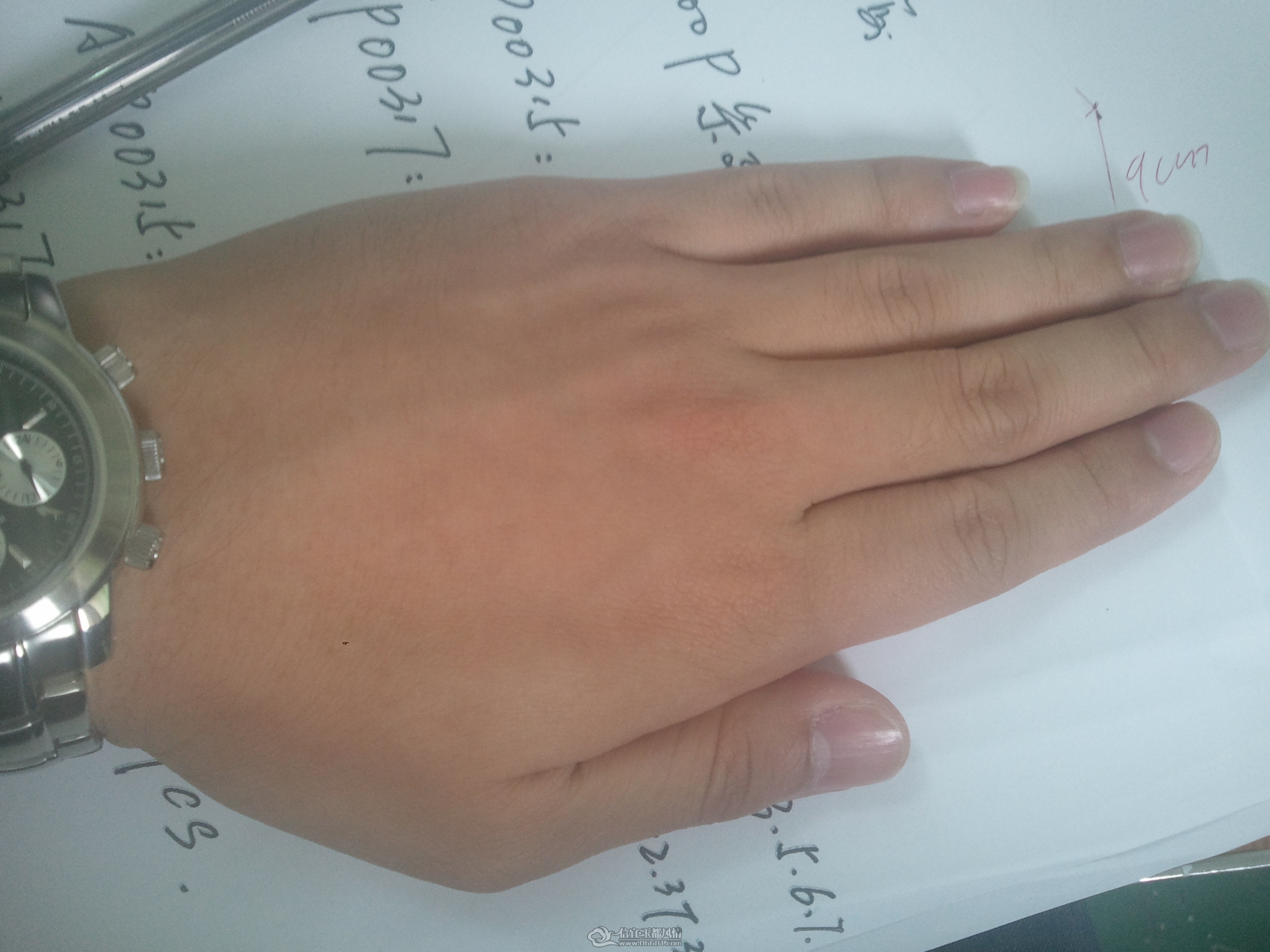 2012-03-23 11.31.59.jpg