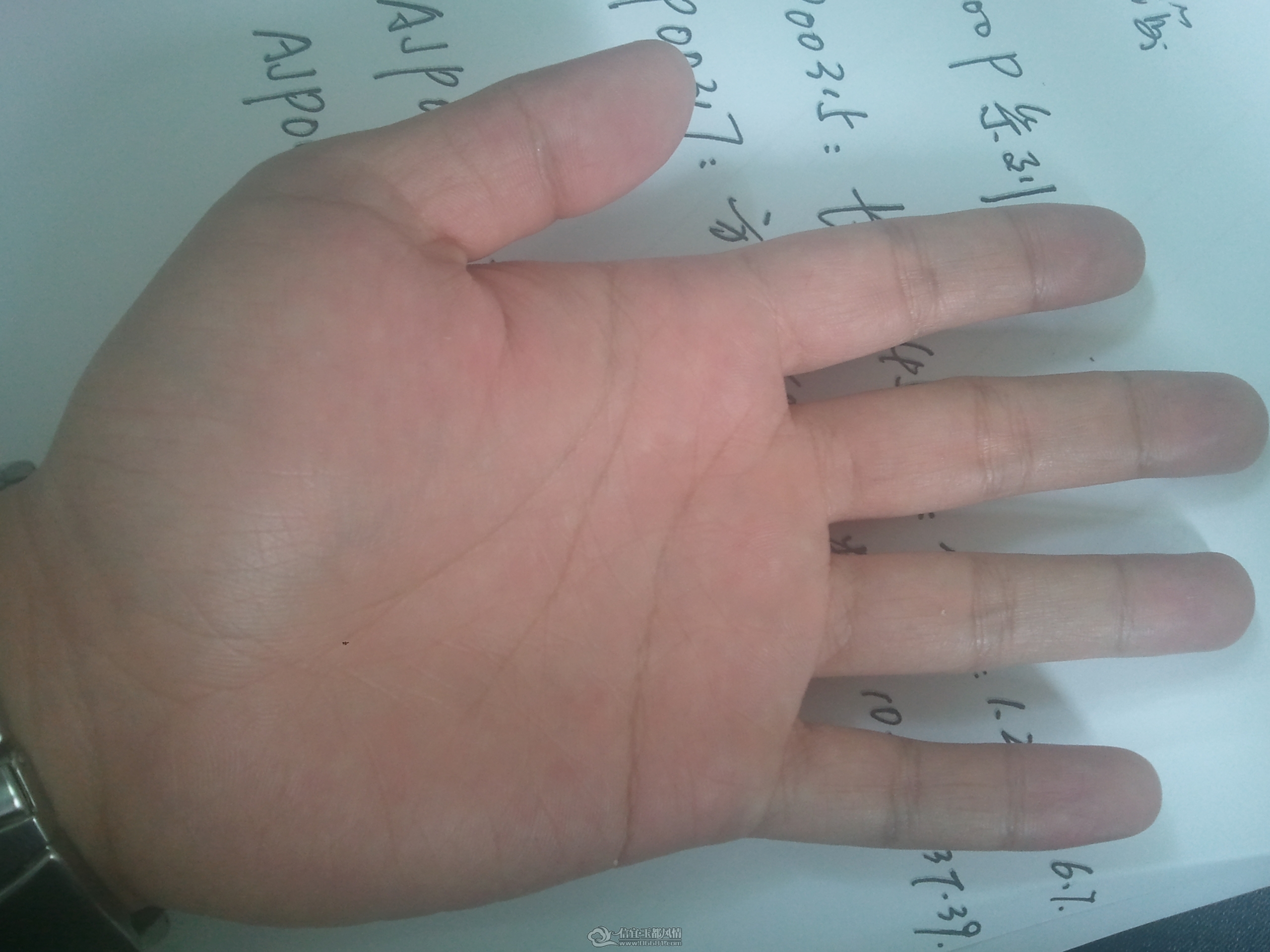 2012-03-23 11.32.14.jpg