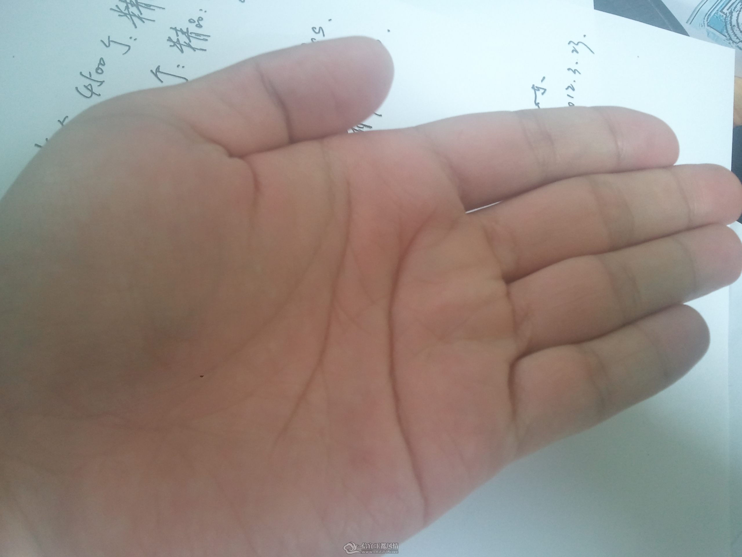 2012-03-23 11.32.45.jpg