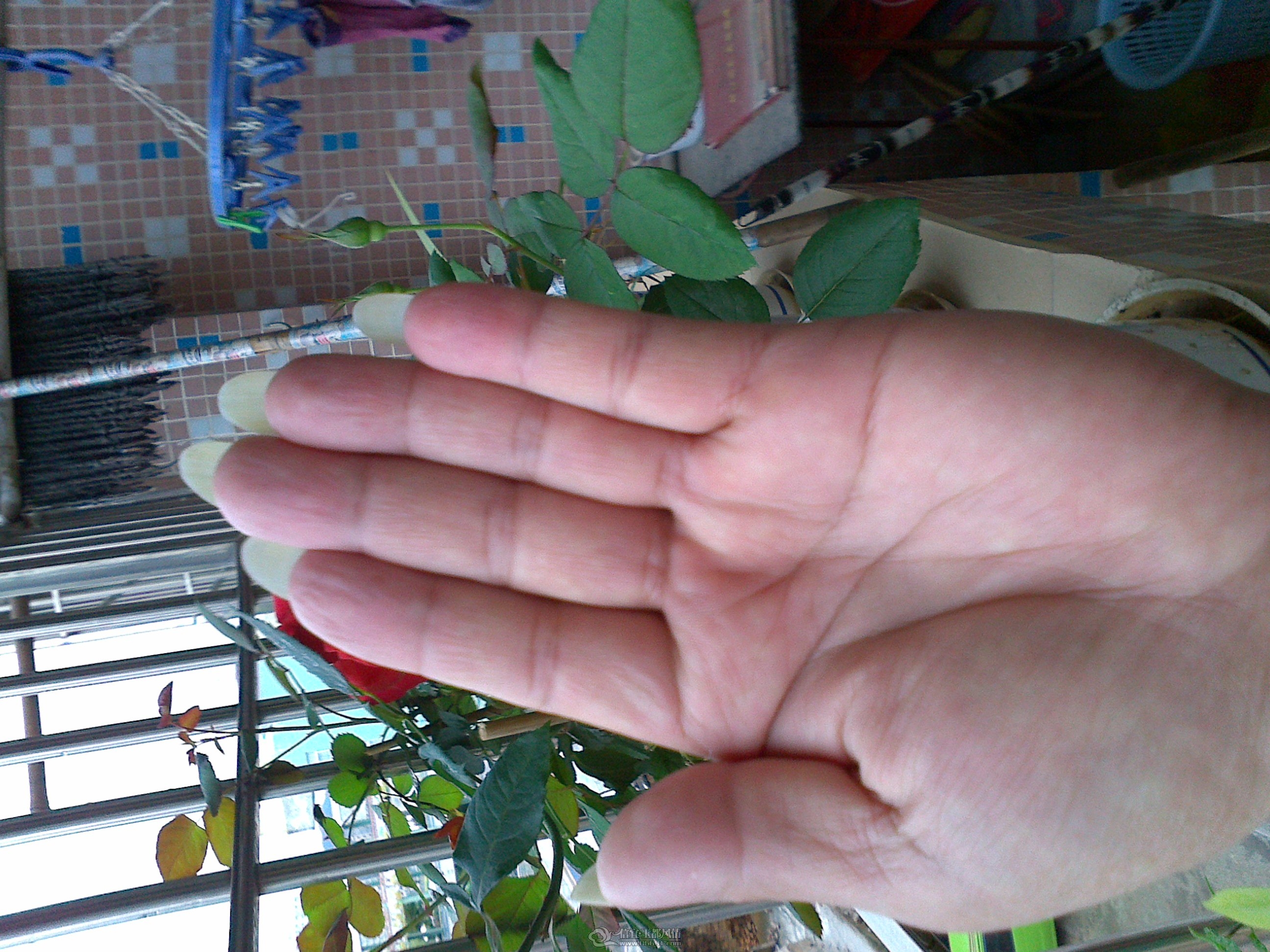 20120323001.jpg