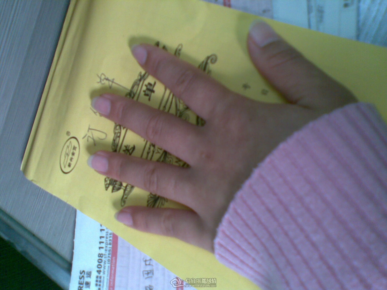 20120323(002).jpg