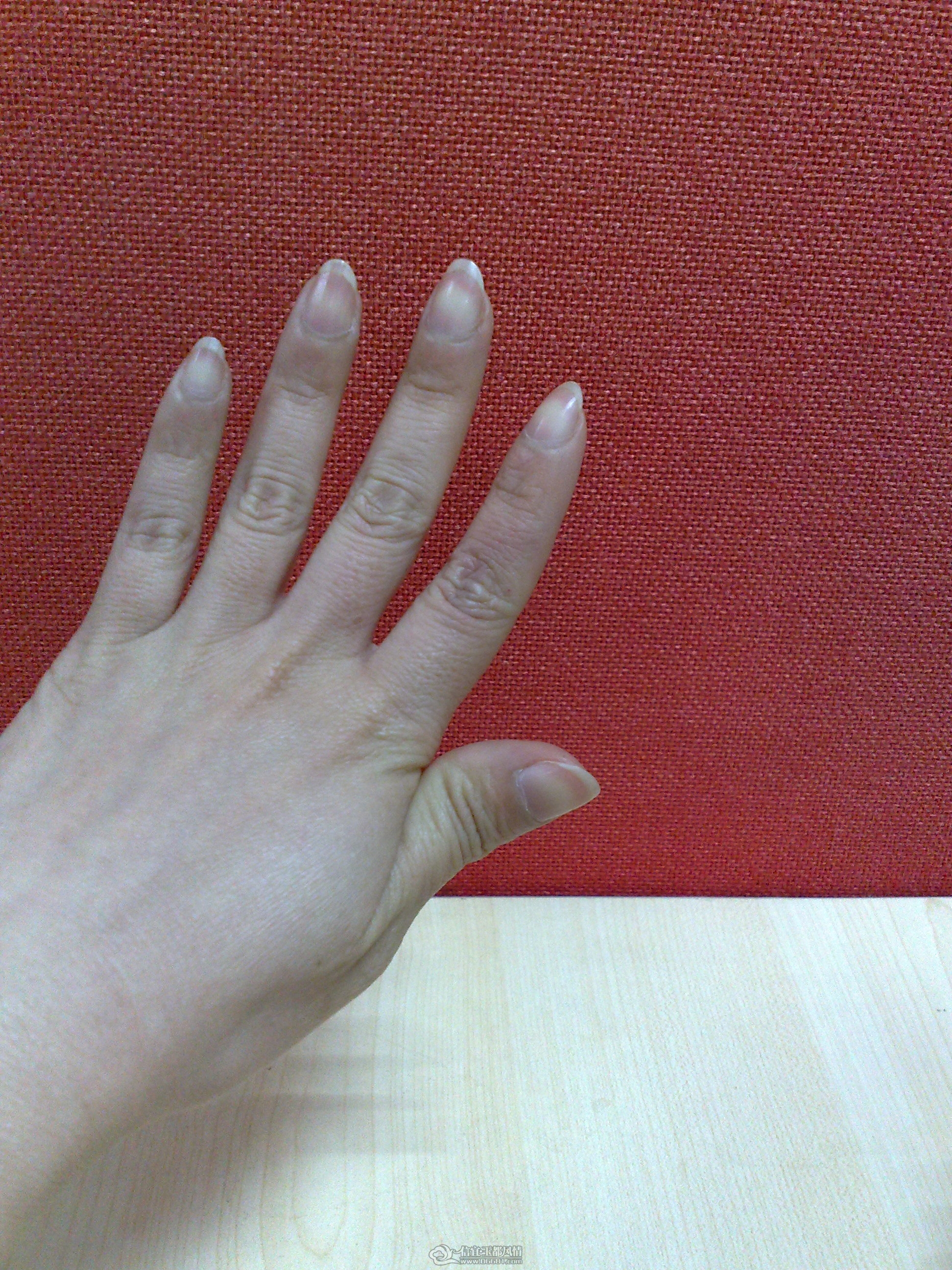 20120323499.jpg