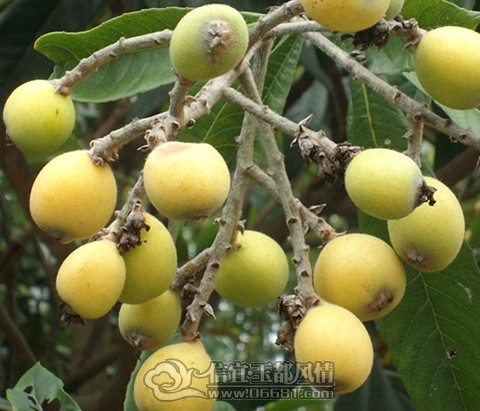 ��Ƭ 090_����.jpg