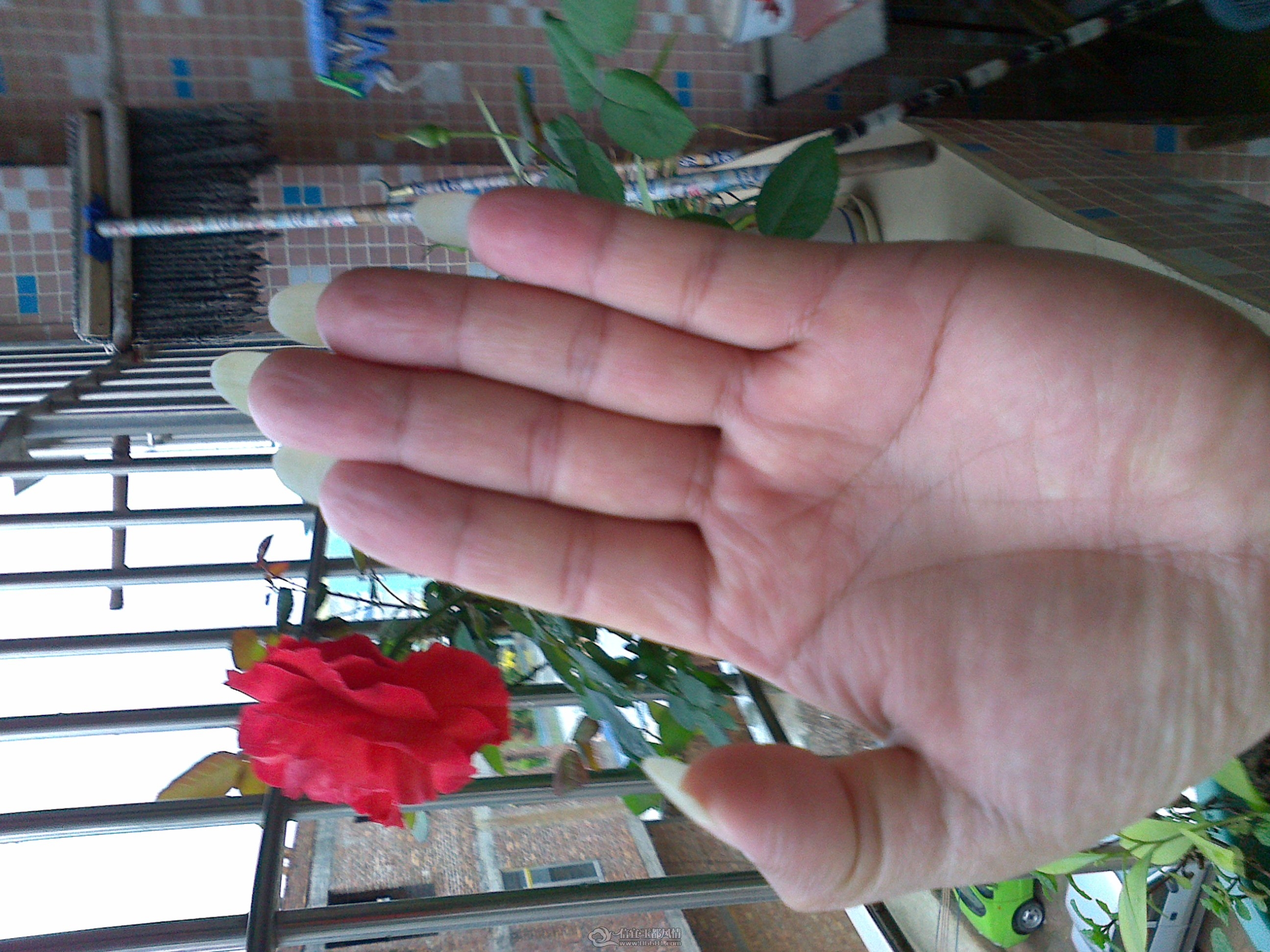 20120323010.jpg