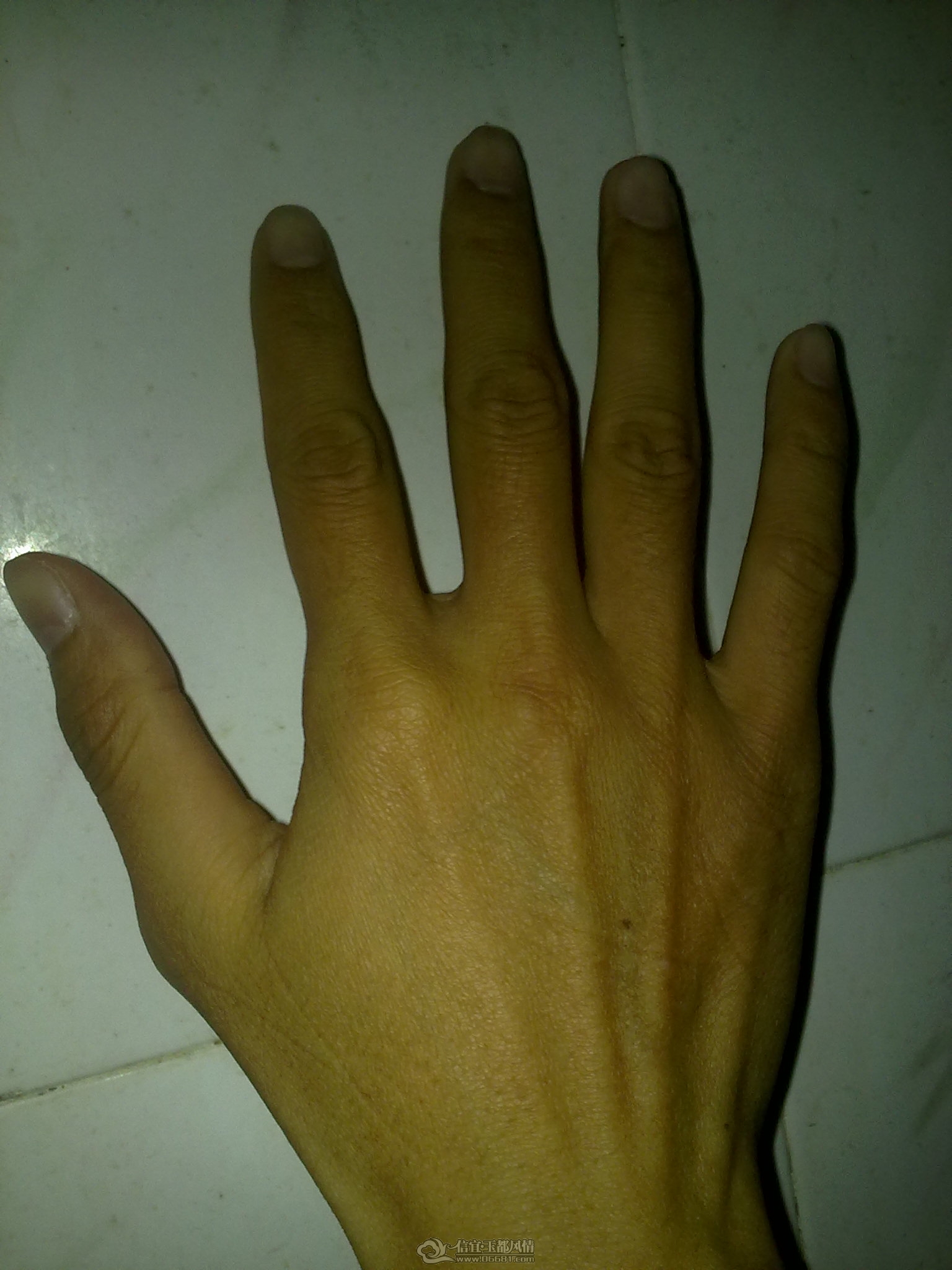 20120326971.jpg