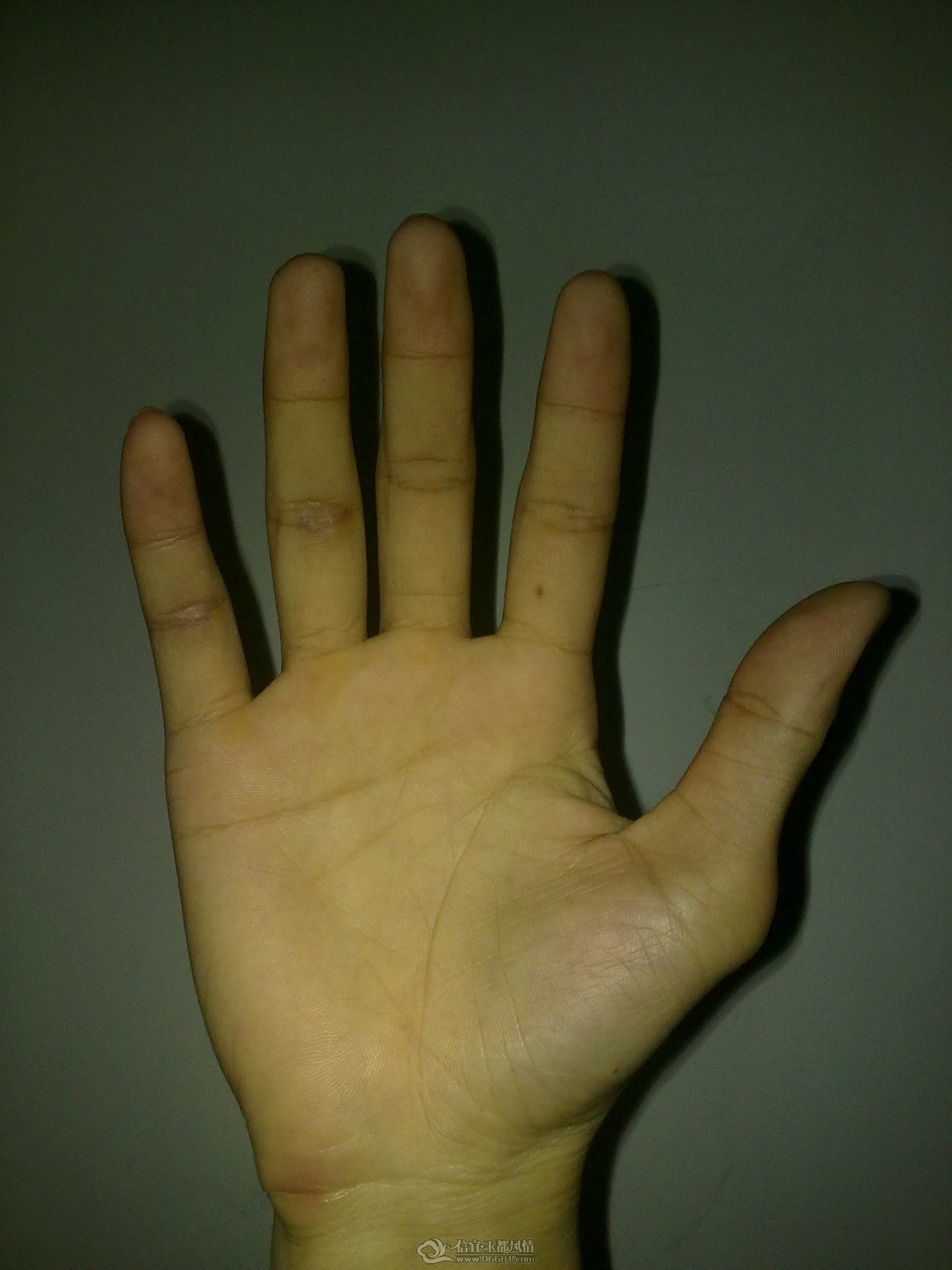 20120326974.jpg
