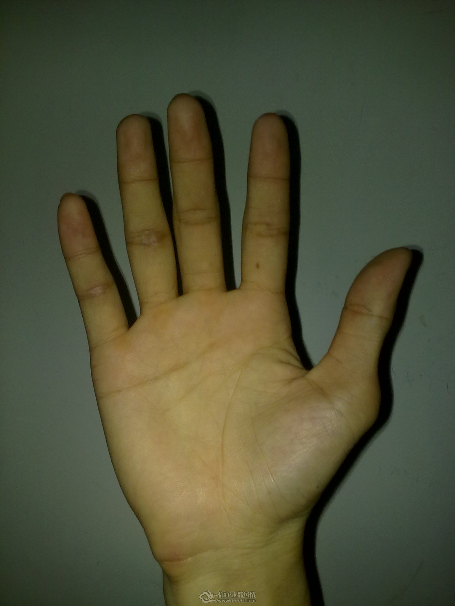 20120326977.jpg
