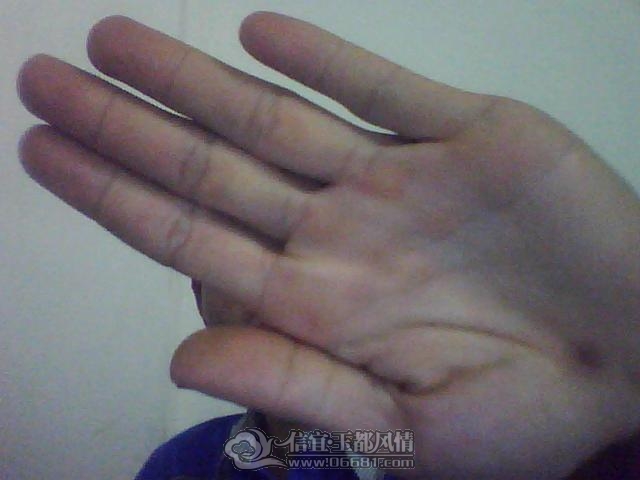 ͼƬ 006.jpg