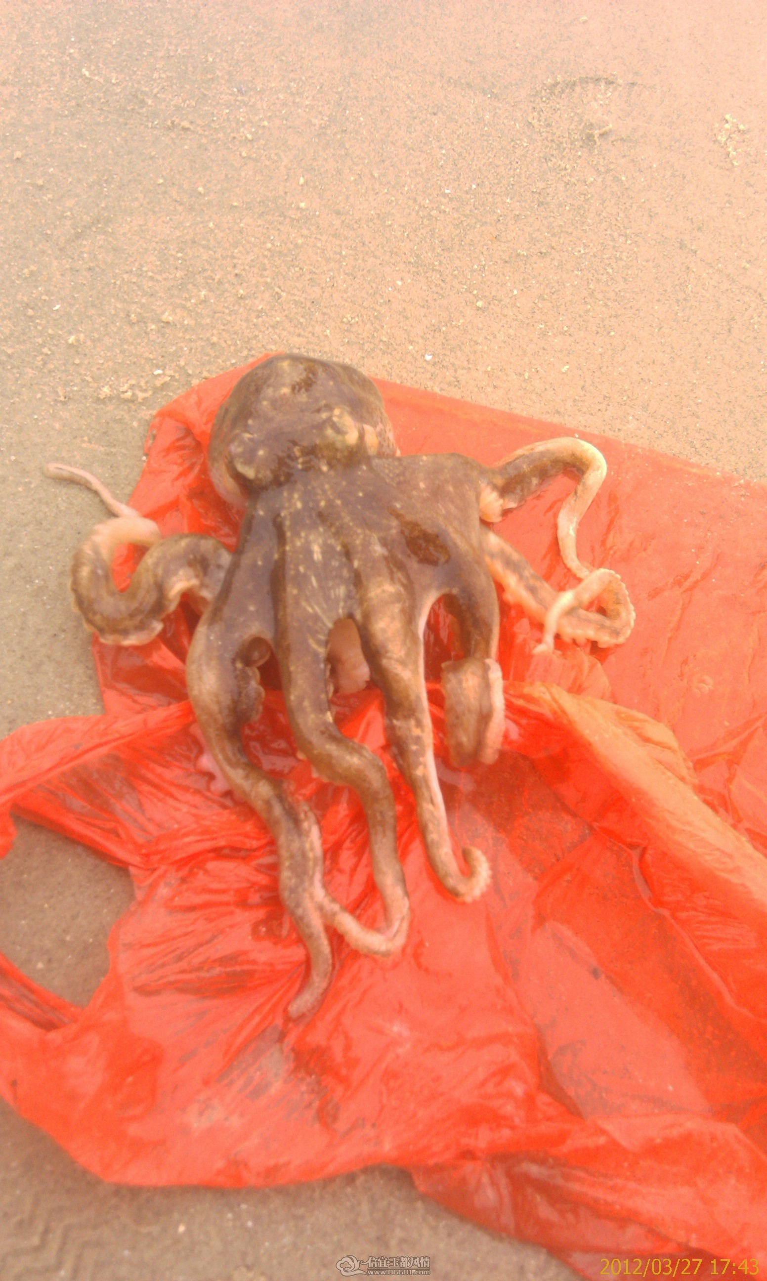 201203271743_036.jpg