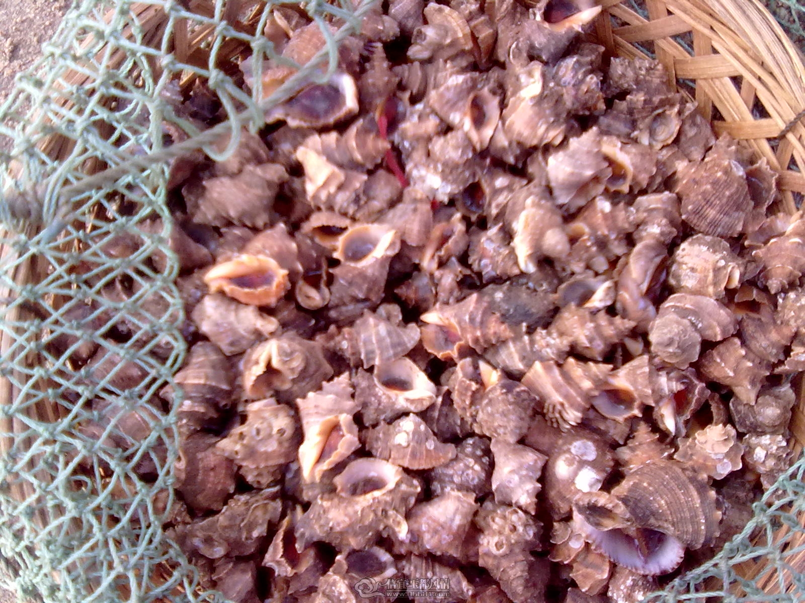 20110915123.jpg