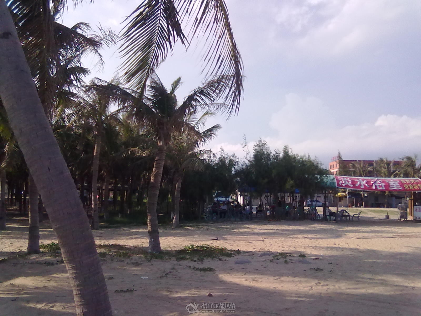 20110915087 - ����.jpg
