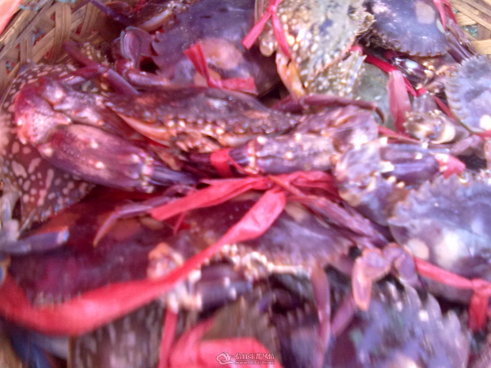 20110915125.jpg