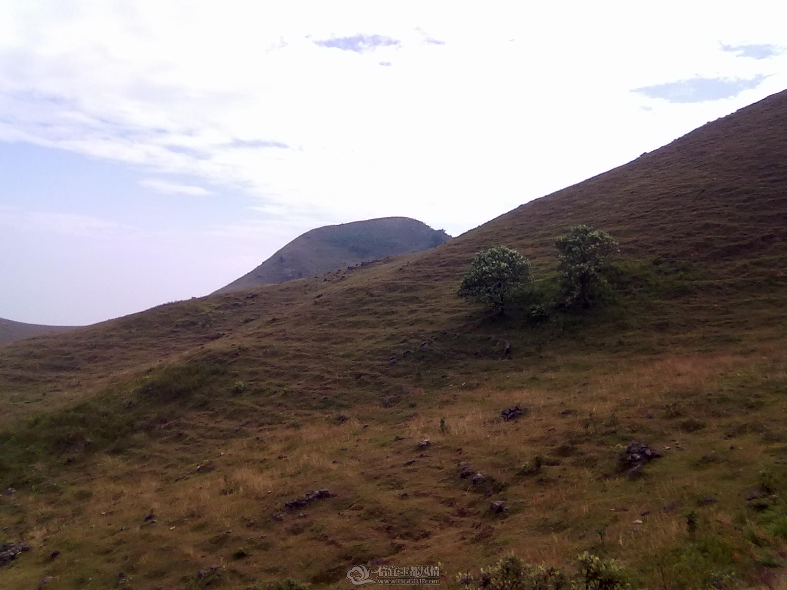 20110926034.jpg