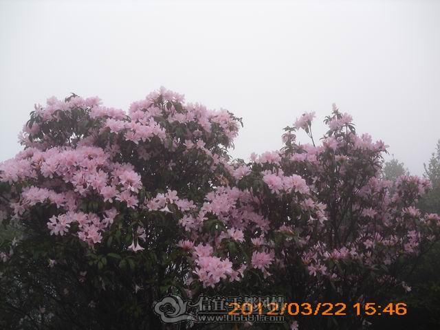 ������С IMG_0111.JPG