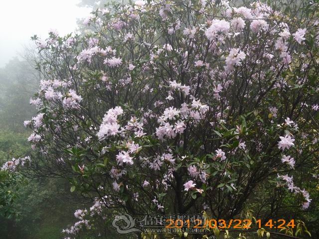 ������С IMG_0021.JPG