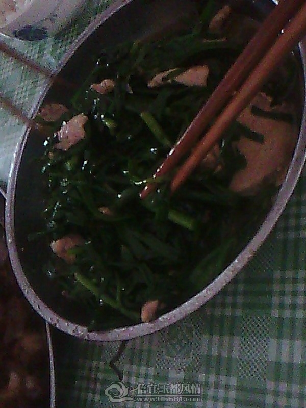 IMG0419A.jpg