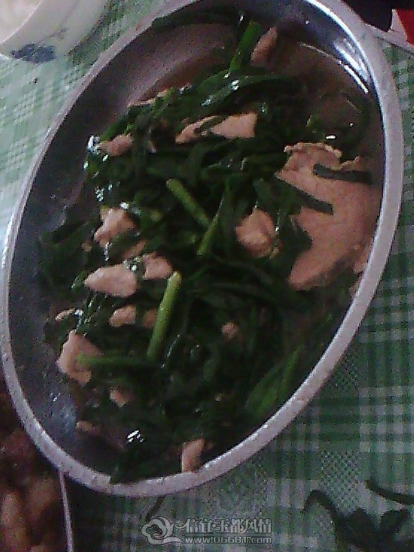 IMG0422A.jpg
