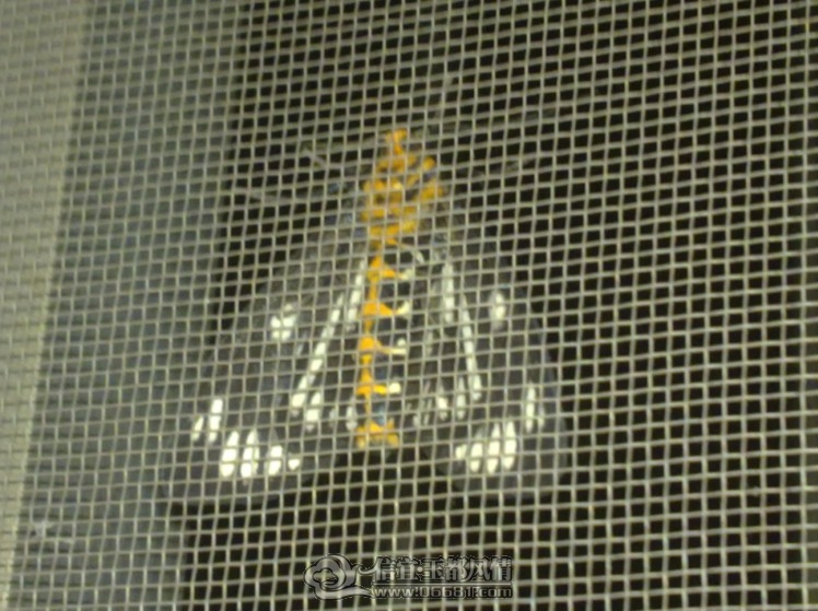 {)2D1NY)N(WI~6MS2MTSBLN.jpg