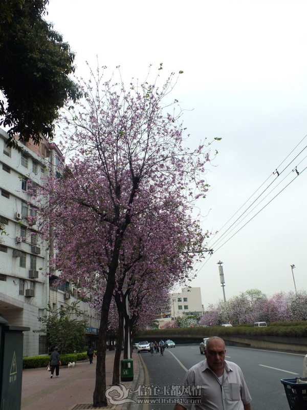 DSCF0022.jpg