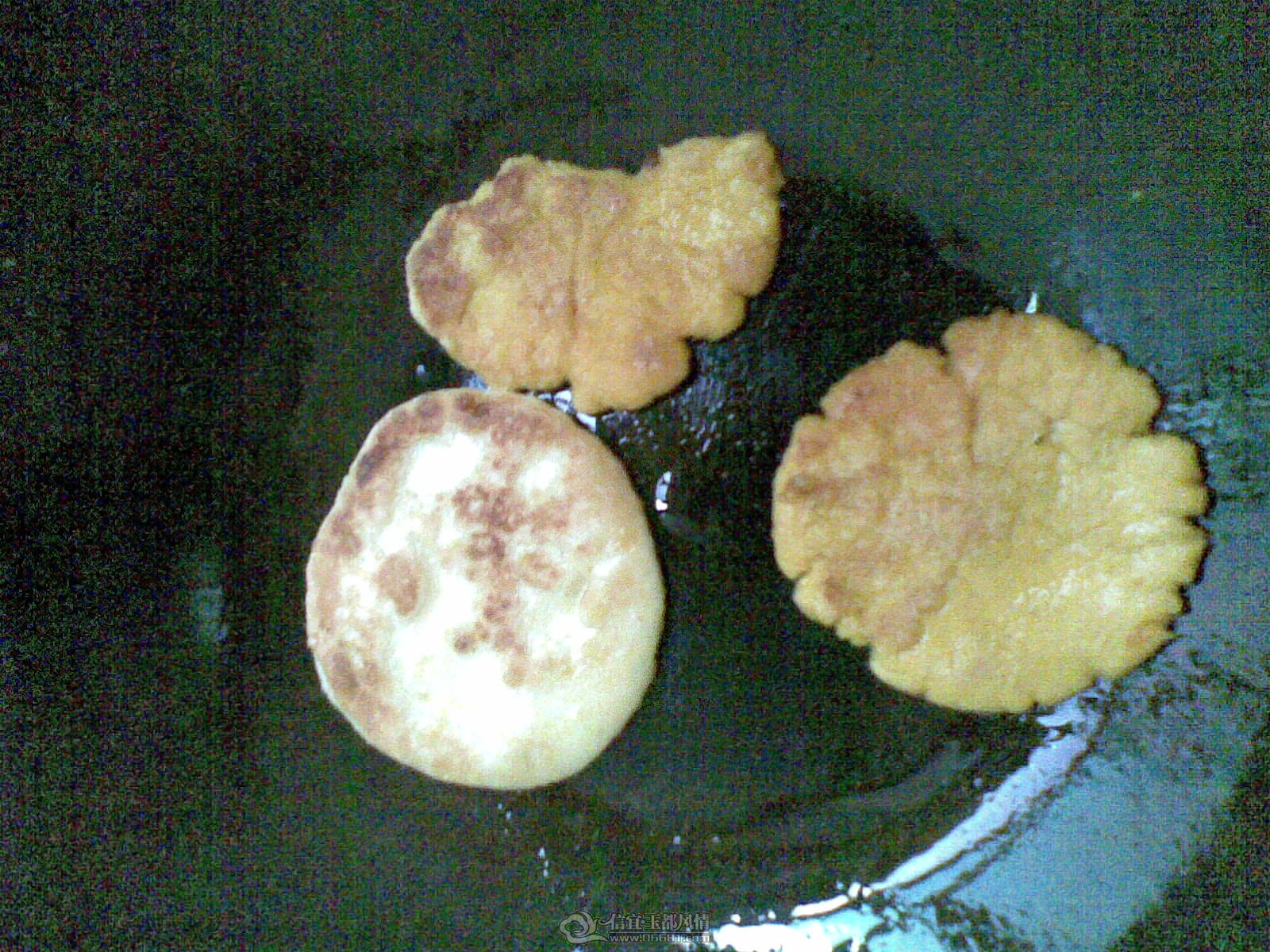 20120401(010).jpg