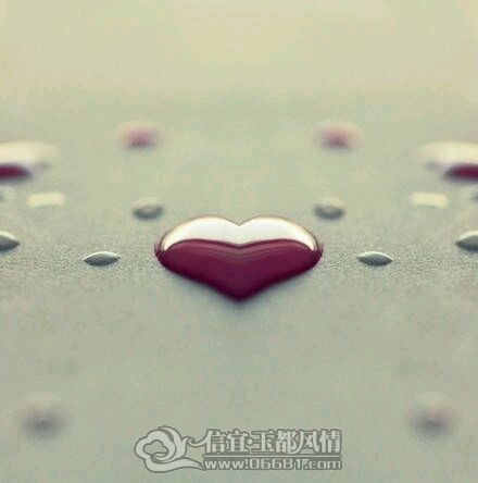 2e2eb9389b504fc2c1fbf4bae5dde71191ef6dec.jpg