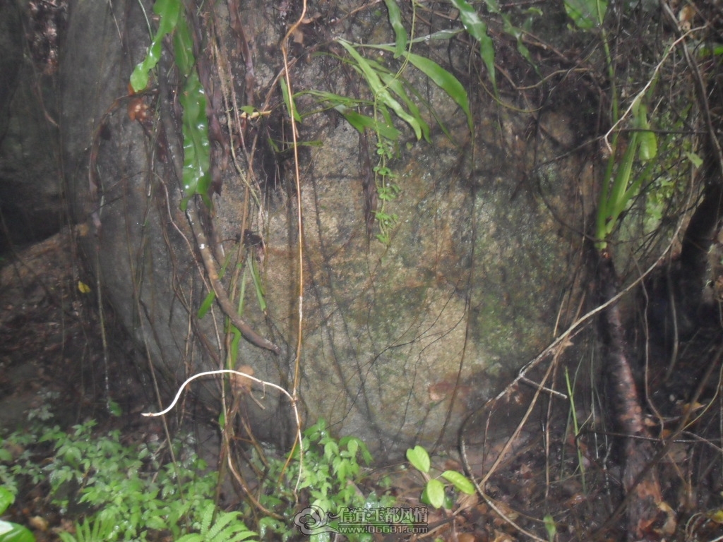 SAM_6836.JPG