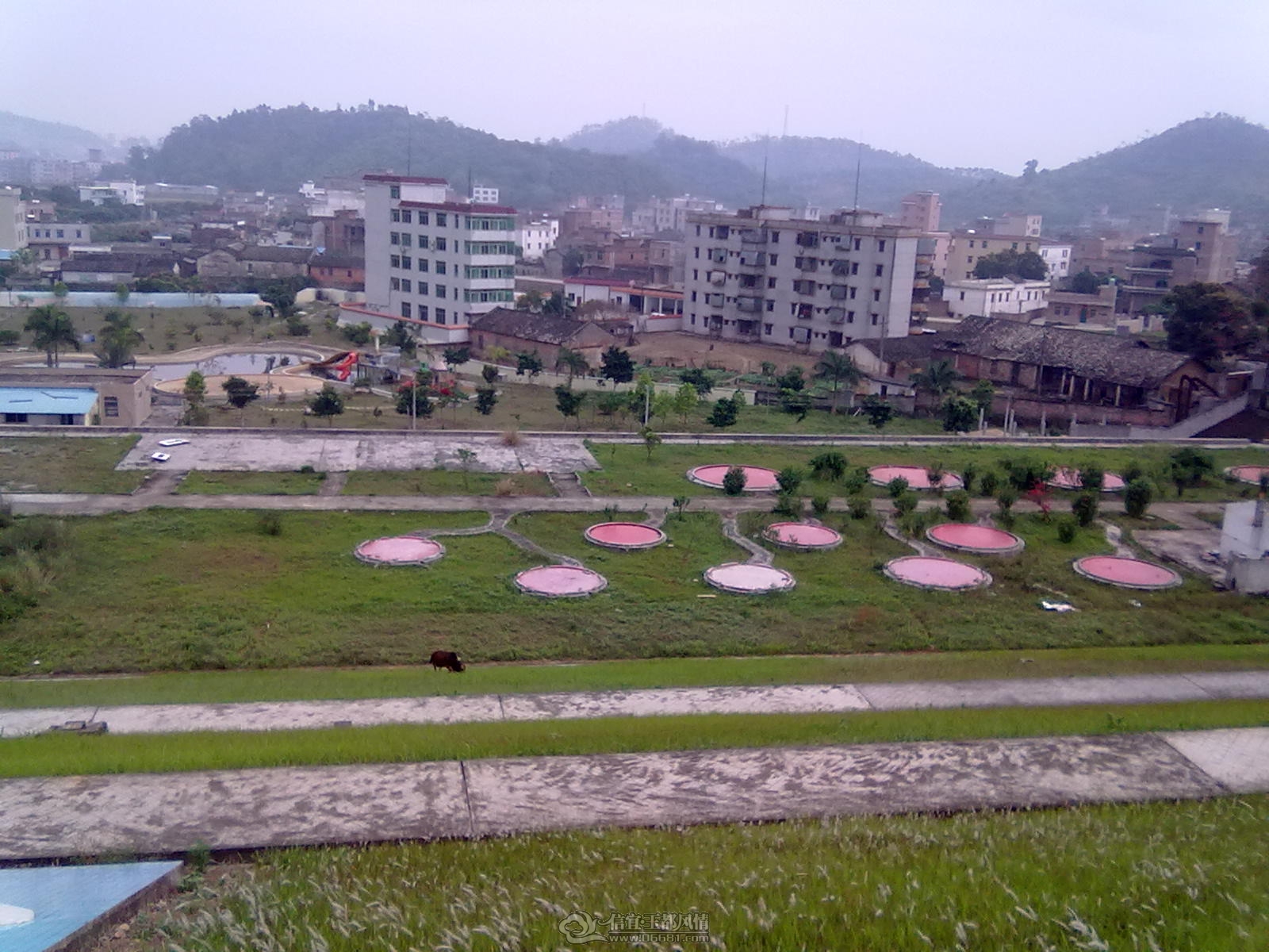 20120404103.jpg