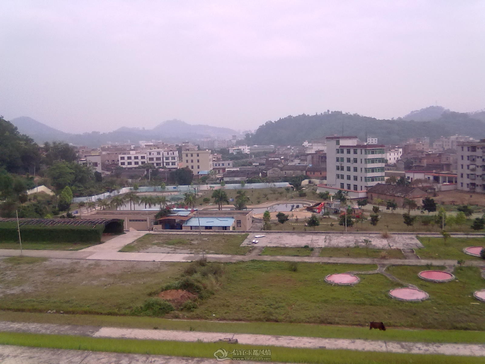 20120404104.jpg
