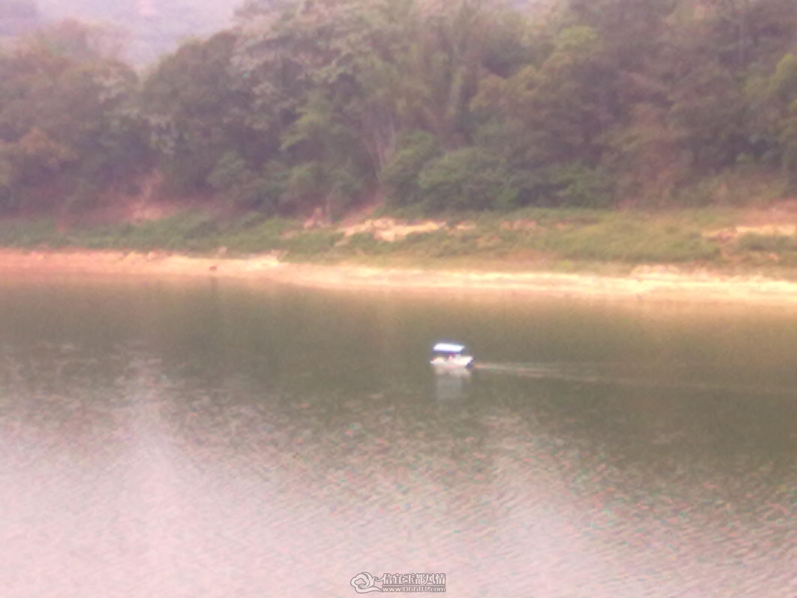 20120404114.jpg