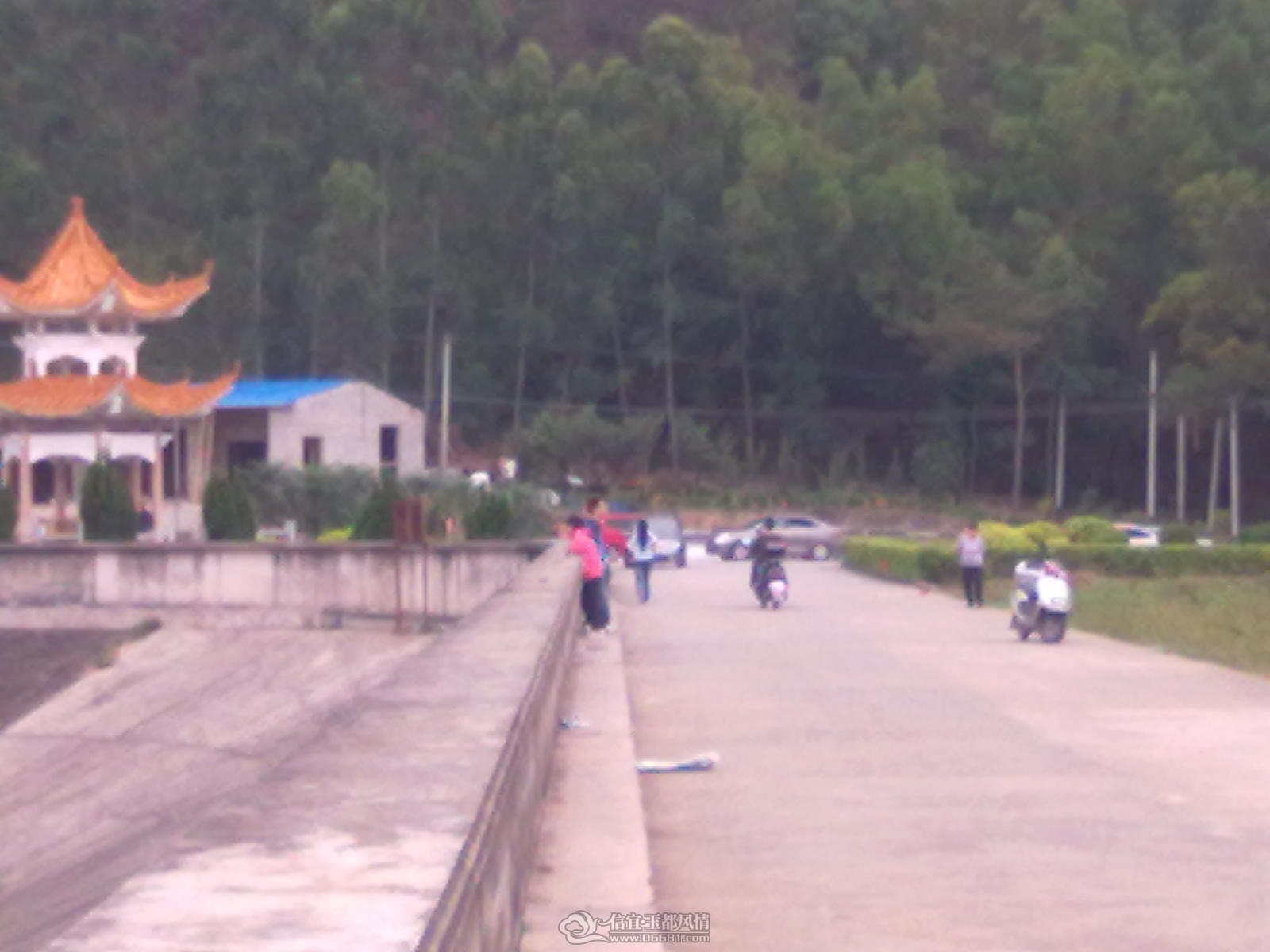 20120404115.jpg