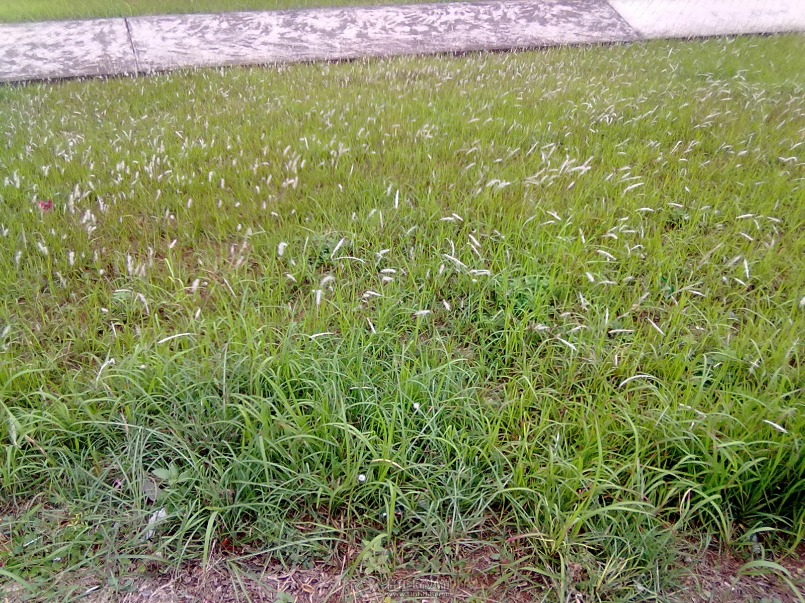 20120404119.jpg