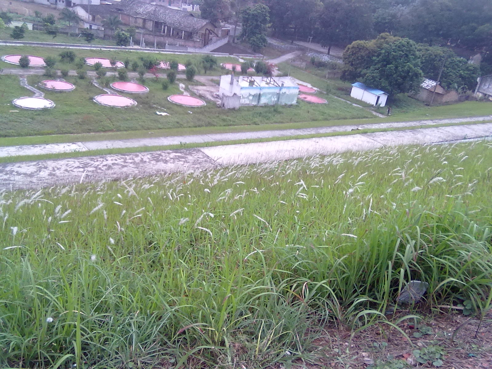 20120404118.jpg