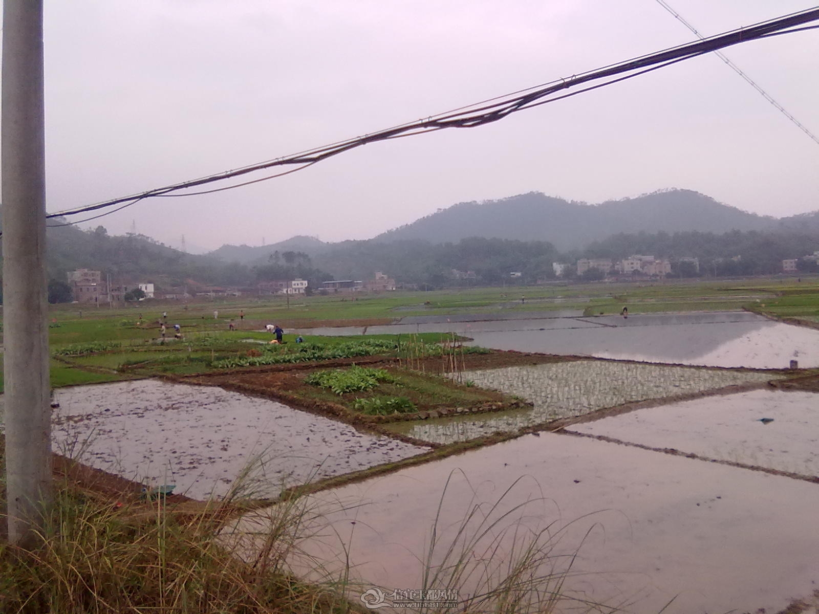 20120404160.jpg