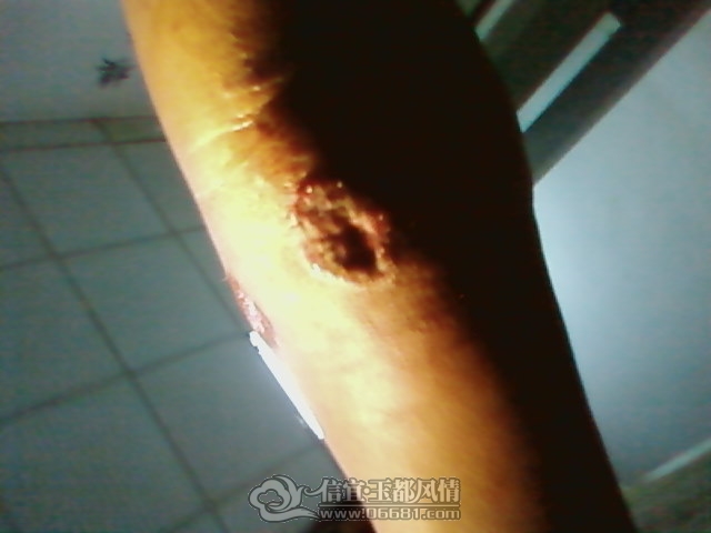 20120404(004).jpg
