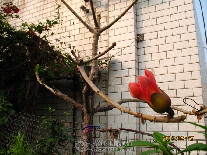 2012-03-27 049.jpg