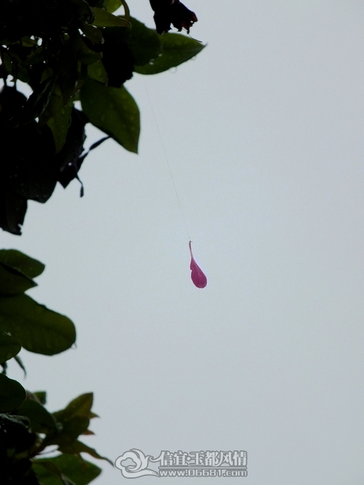 DSCF0046.jpg