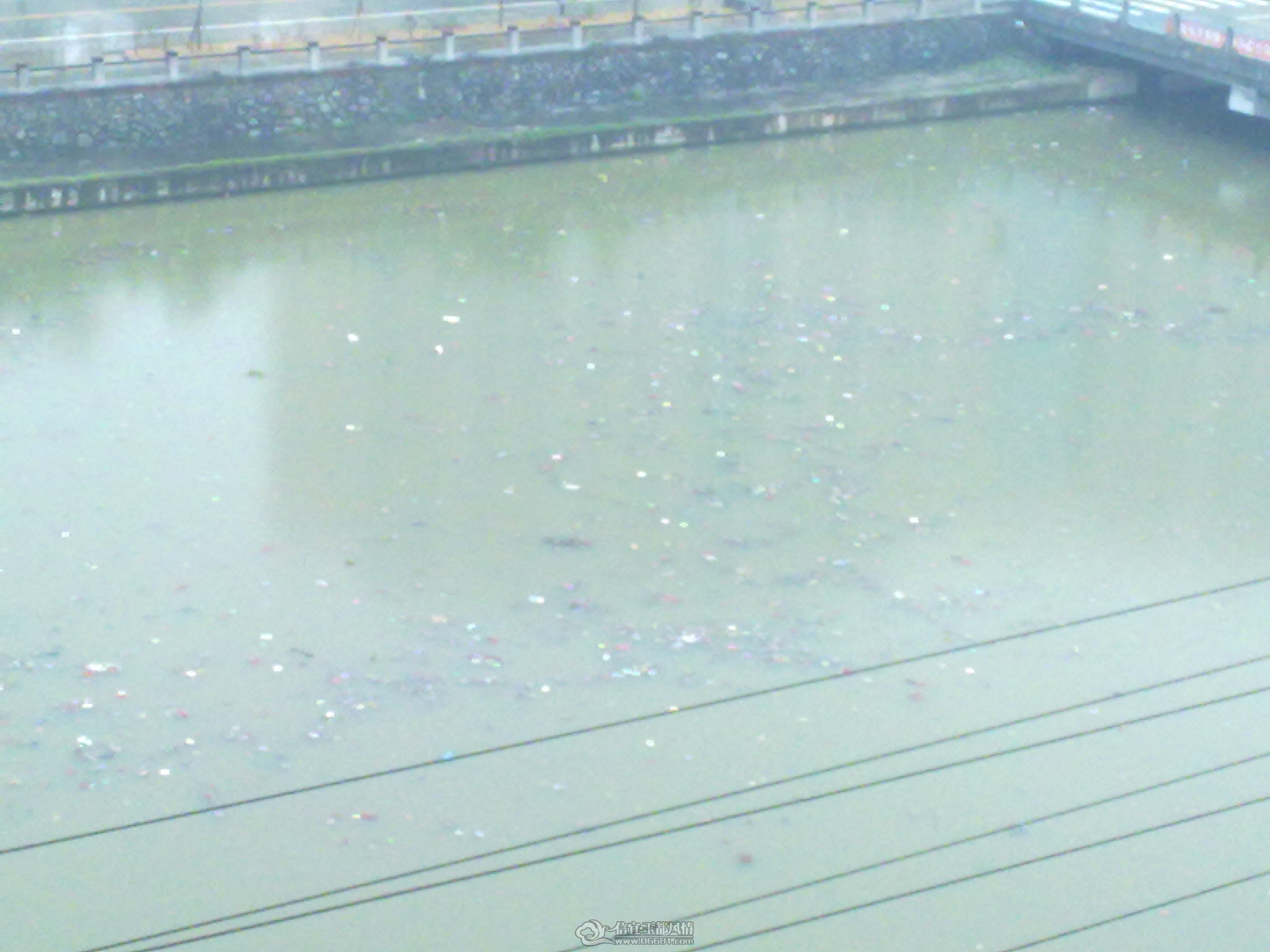 20120405164.jpg