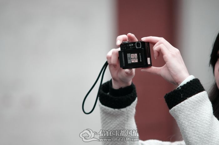 2.JPG