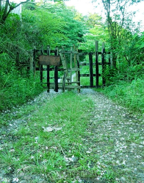 10.JPG